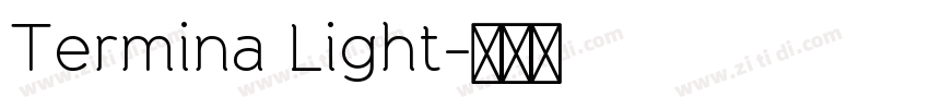Termina Light字体转换